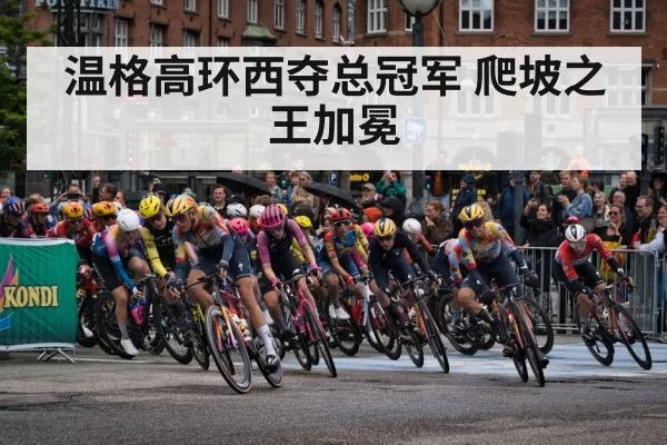 温格高环西夺总冠军 爬坡之王加冕 - hth